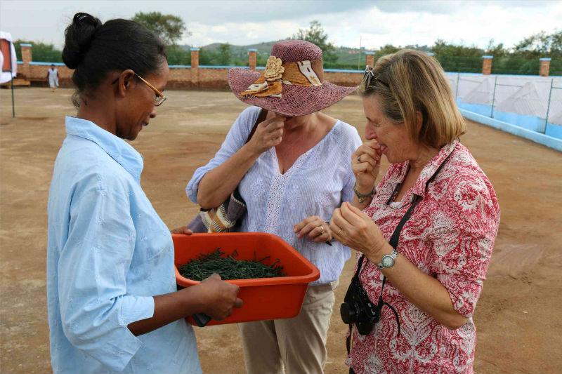 Jeannie offre une dégustation à Isa et Bernadette de la spiruline Fanantenana