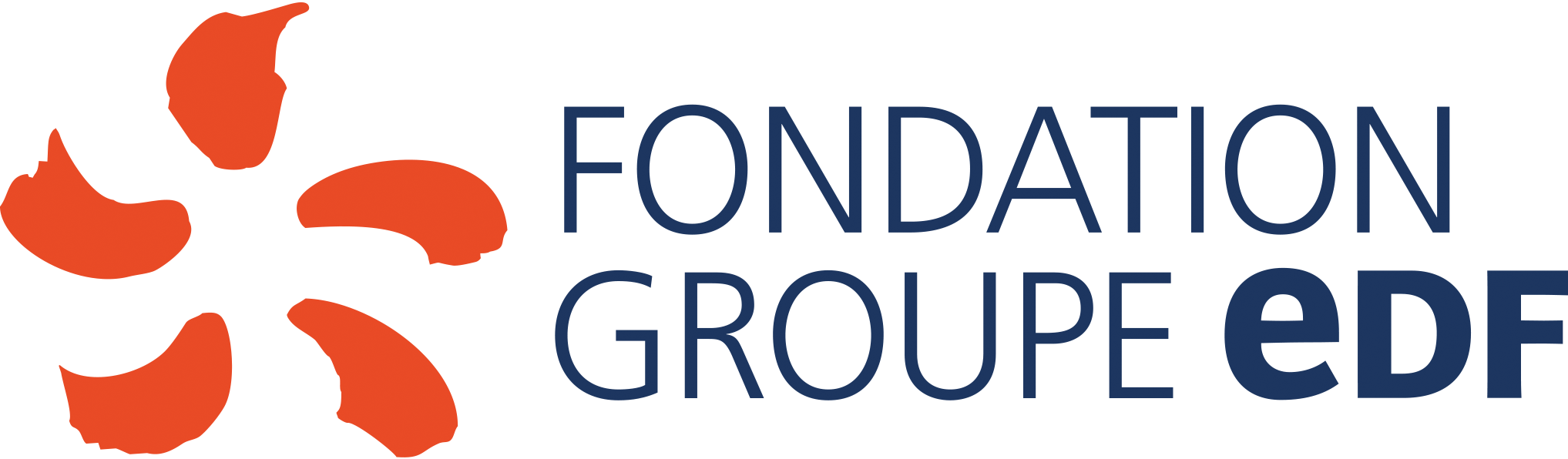 Fondation Groupe EDF