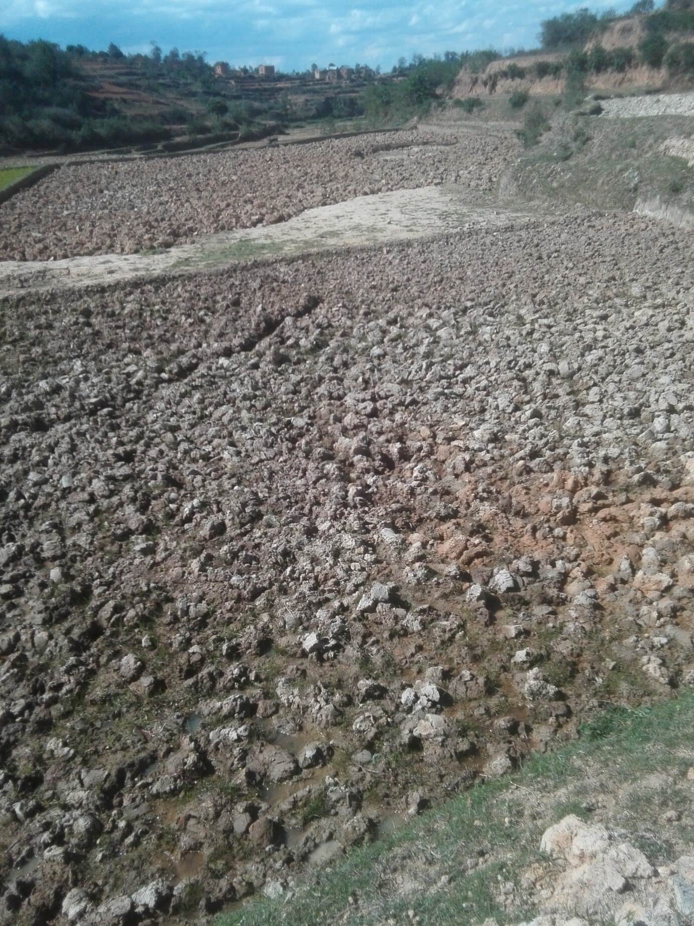 La sécheresse gagne la région d'Ambositra.