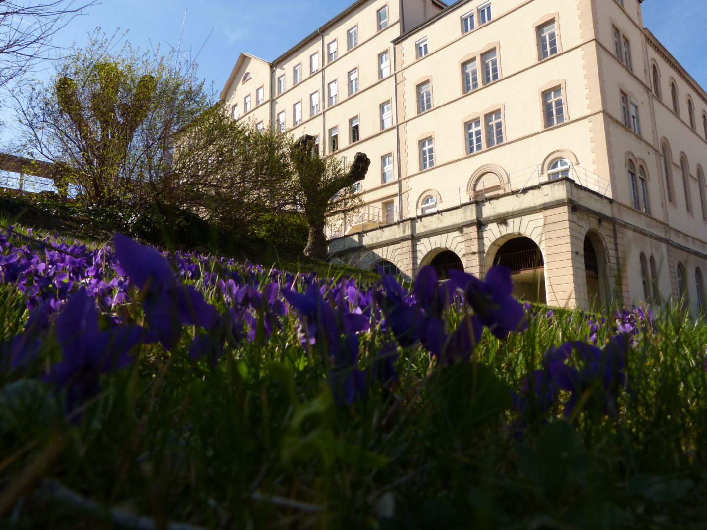 Merci aux élèves du lycée Saint-Louis Saint-Bruno à Lyon !